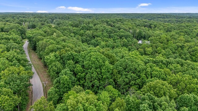 0 Higdon, Joelton, TN 37080 - photo 37