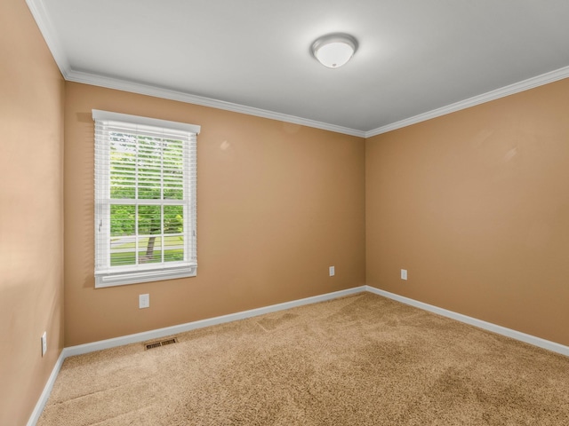 30 Sullivan Ln, Tullahoma, TN 37388 - carpeted empty room with ornamental molding and baseboards