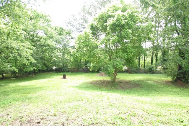 221 Santa Rosa Ct, Old Hickory, TN 37138 - photo 15
