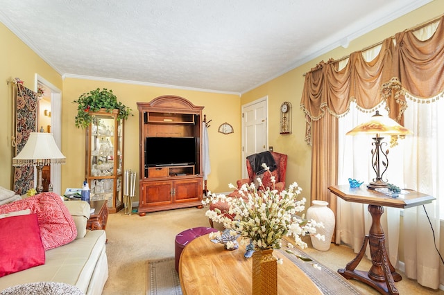 703 Lucien Dr, Goodlettsville, TN 37072 - photo 8
