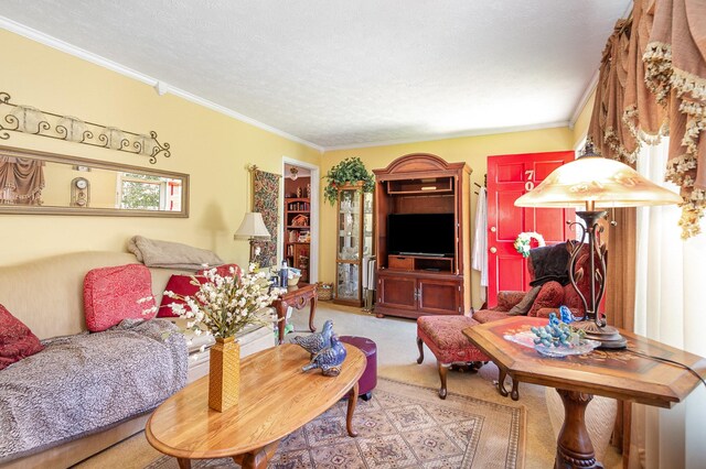 703 Lucien Dr, Goodlettsville, TN 37072 - photo 10
