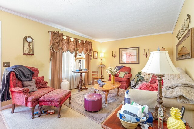 703 Lucien Dr, Goodlettsville, TN 37072 - photo 11