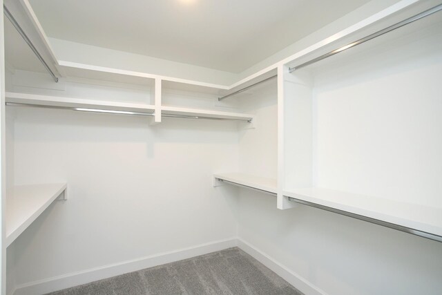 walk in closet with carpet