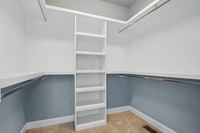 spacious closet featuring light carpet