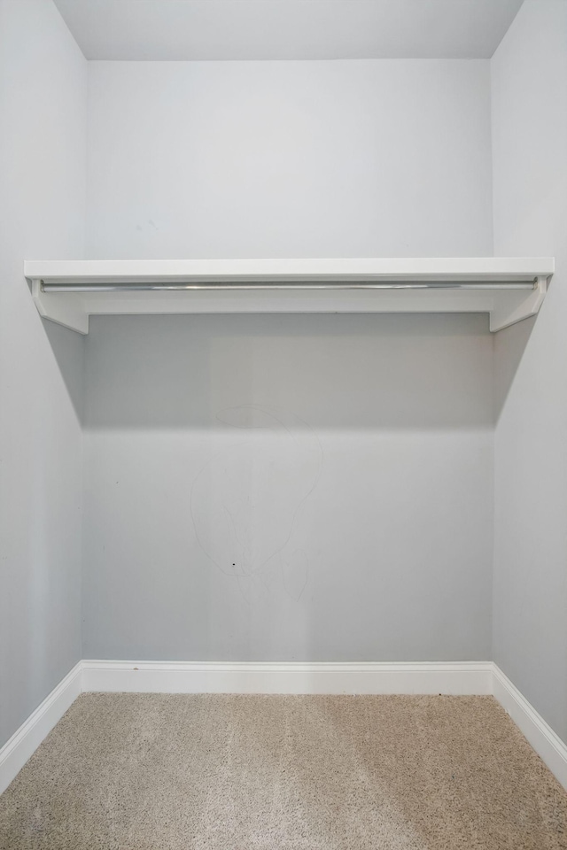 spacious closet featuring carpet flooring