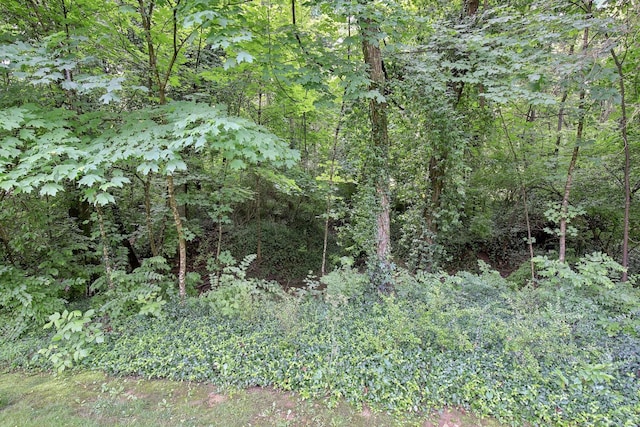 1520 Simpson Ct, Nashville, TN 37211 - photo 52