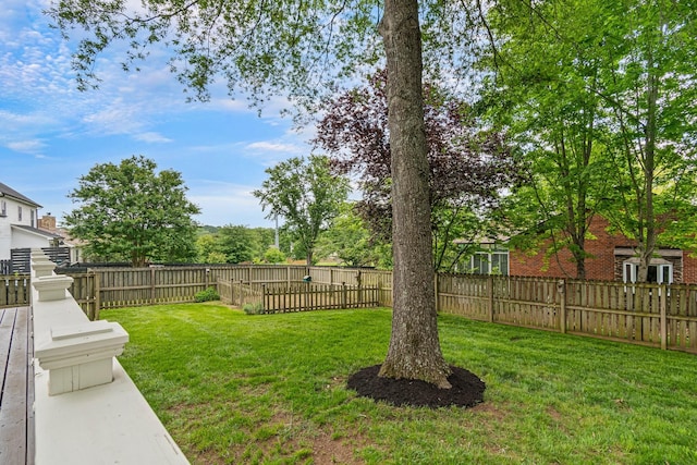 3060 Liberty Hills Dr, Franklin, TN 37067 - view of yard