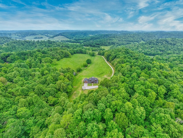 1271 Bivins Rd, Lewisburg, TN 37091 - aerial view of a forest