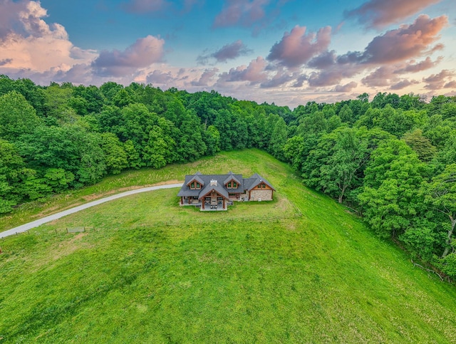 1271 Bivins Rd, Lewisburg, TN 37091 - view of subject property