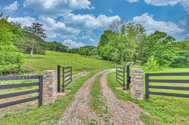 1271 Bivins Rd, Lewisburg, TN 37091 - view of dirt / gravel driveway with a view of trees