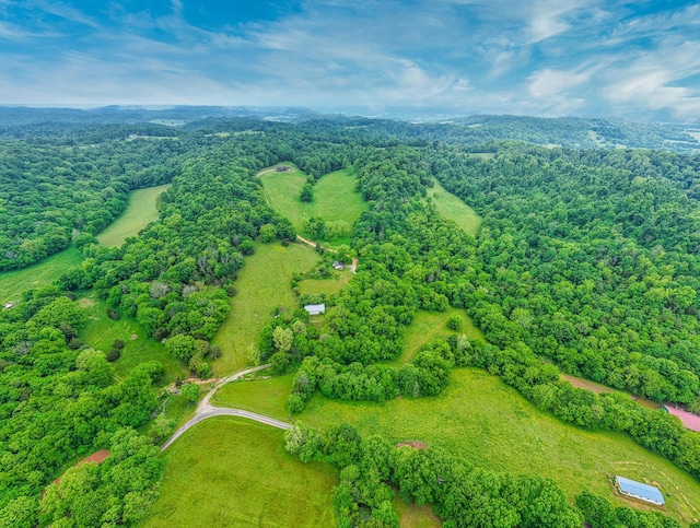 1271 Bivins Rd, Lewisburg, TN 37091 - bird's eye view of a heavily wooded area
