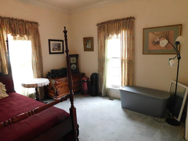1129 Adam Dr, Cottontown, TN 37048 - bedroom featuring carpet, multiple windows, and crown molding