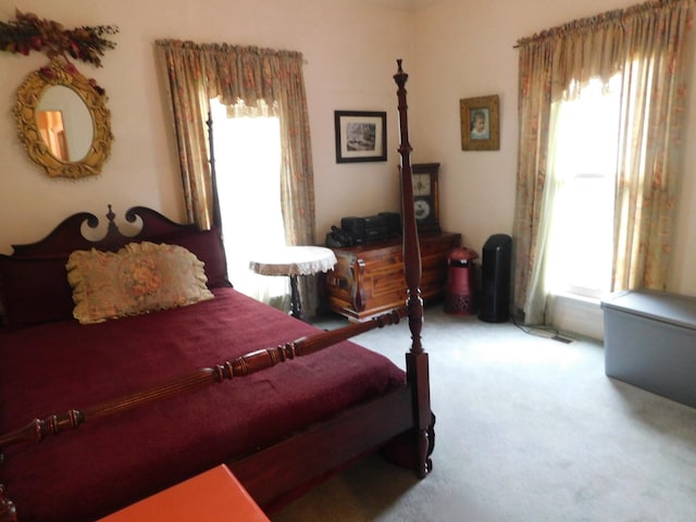 1129 Adam Dr, Cottontown, TN 37048 - carpeted bedroom with multiple windows