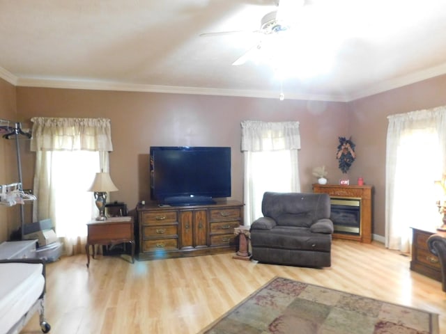 1129 Adam Dr, Cottontown, TN 37048 - living room featuring wood finished floors, crown molding, ceiling fan, a glass covered fireplace, and baseboards