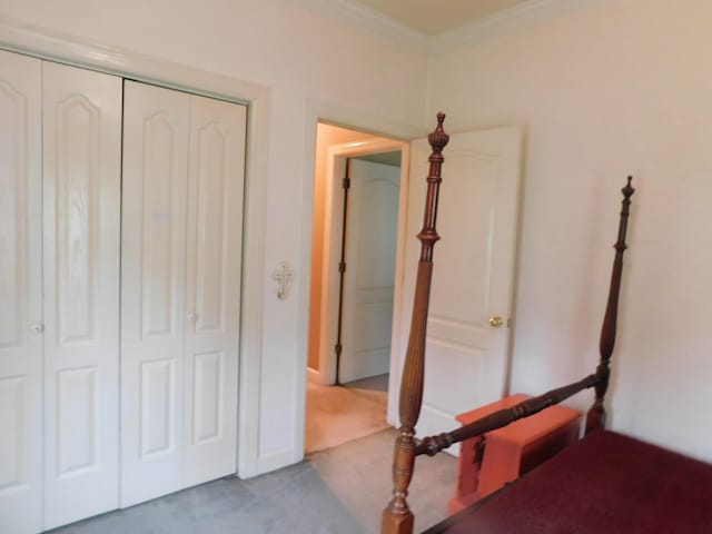 1129 Adam Dr, Cottontown, TN 37048 - unfurnished bedroom with carpet, a closet, and ornamental molding