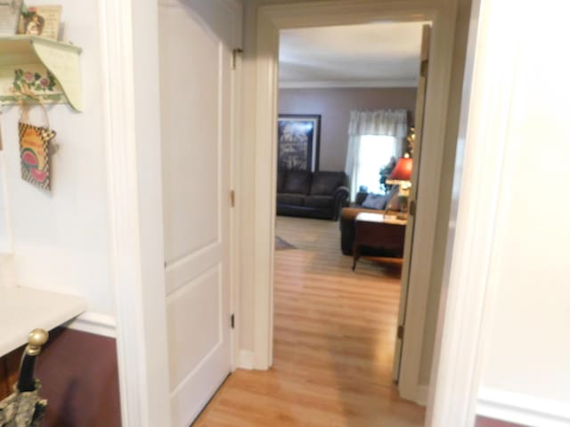 1129 Adam Dr, Cottontown, TN 37048 - hall with light wood-style flooring and ornamental molding