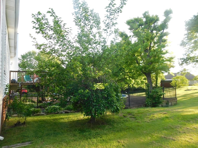 1129 Adam Dr, Cottontown, TN 37048 - view of yard