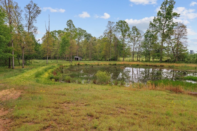 494 Lovejoy Rd, Sparta, TN 38583 - photo 3