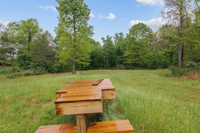 494 Lovejoy Rd, Sparta, TN 38583 - photo 52