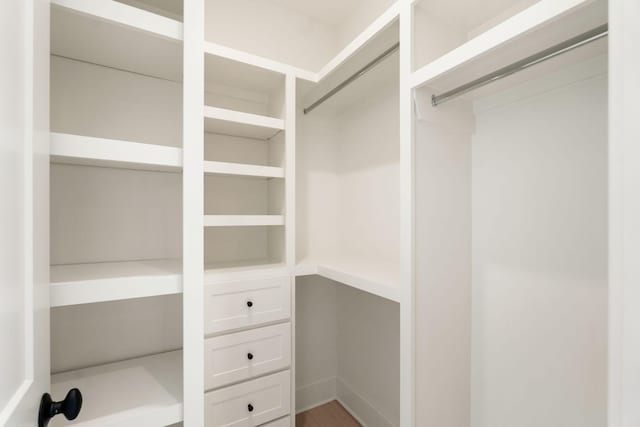 view of spacious closet