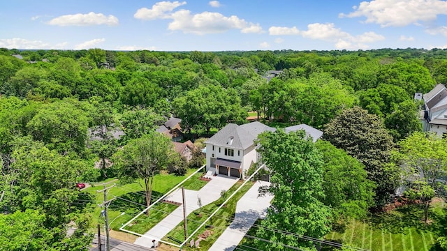 bird's eye view of a forest
