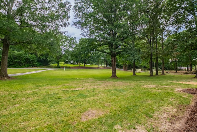 10 Hilldale Church Rd, Fayetteville, TN 37334 - photo 58