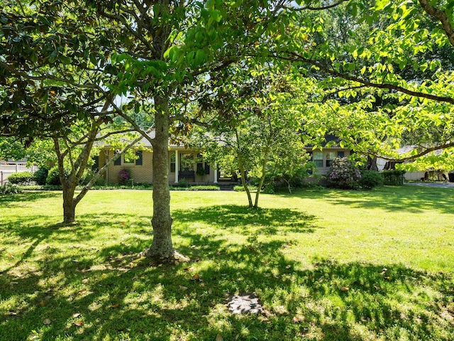 102 Essex Ct, Tullahoma, TN 37388 - photo 34