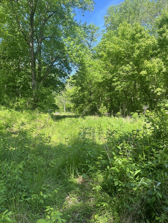 0 Hawkins Rd, Westmoreland, TN 37186 - photo 5