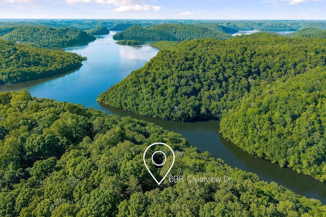 698 Crestview Dr, Sparta, TN 38583 - aerial view of a forest and a nearby body of water