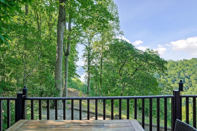 698 Crestview Dr, Sparta, TN 38583 - view of deck