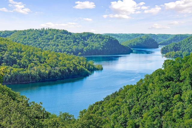 698 Crestview Dr, Sparta, TN 38583 - water view with a heavily wooded area