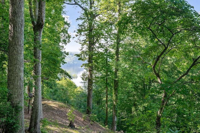 698 Crestview Dr, Sparta, TN 38583 - view of wooded area featuring a water view