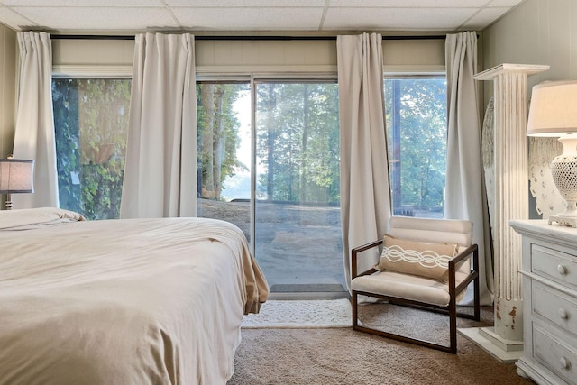 698 Crestview Dr, Sparta, TN 38583 - bedroom with access to outside, carpet, and multiple windows