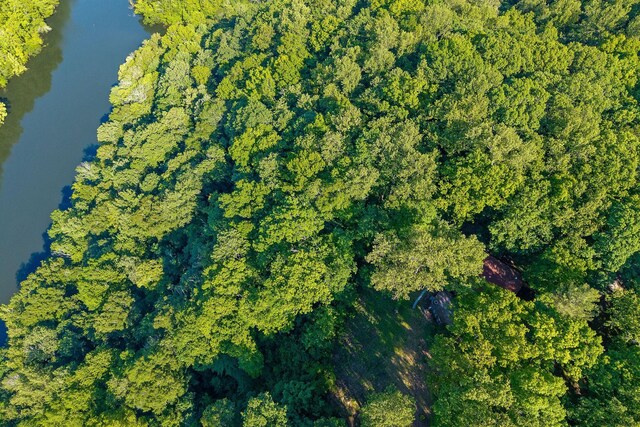 698 Crestview Dr, Sparta, TN 38583 - aerial view of property and surrounding area with a nearby body of water and a forest