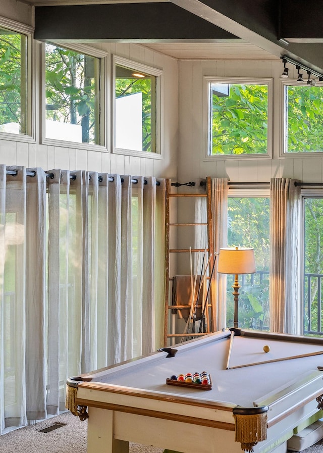 698 Crestview Dr, Sparta, TN 38583 - playroom featuring billiards table