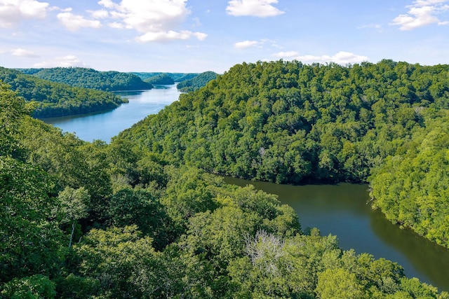 698 Crestview Dr, Sparta, TN 38583 - water view with a heavily wooded area