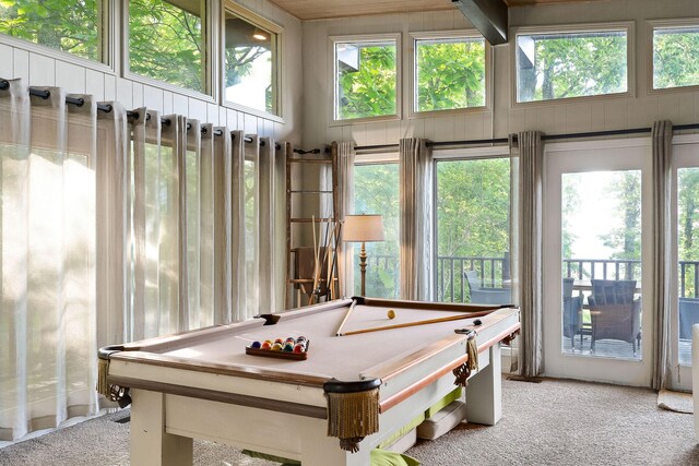698 Crestview Dr, Sparta, TN 38583 - rec room featuring carpet flooring, pool table, and healthy amount of natural light