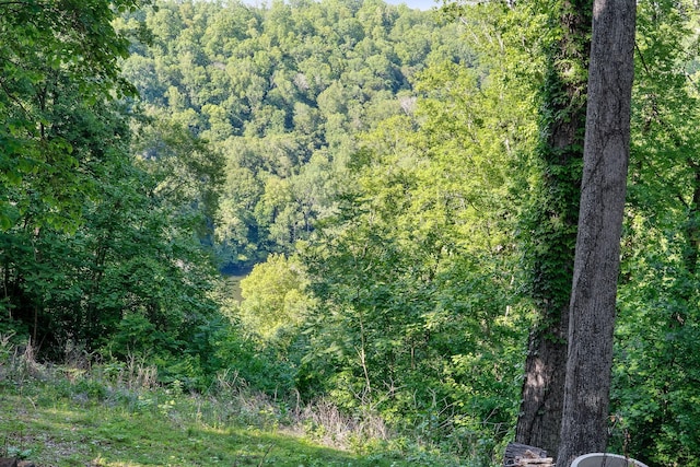 698 Crestview Dr, Sparta, TN 38583 - view of wooded area