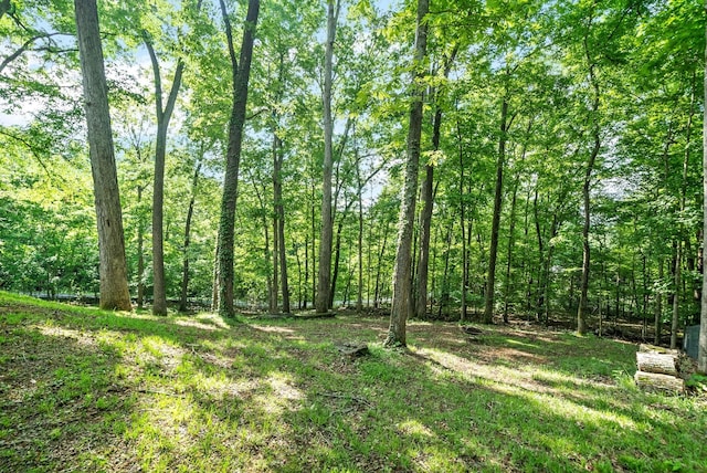 view of yard featuring a wooded view