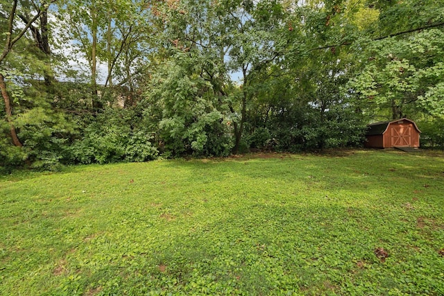 view of green lawn featuring an outdoor structure and a storage unit