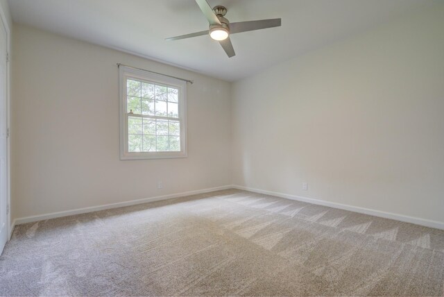 2153 Watertown Pl, Clarksville, TN 37043 - photo 45