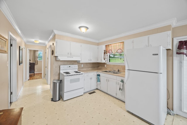 103 Walnut Dr, Carthage, TN 37030 - kitchen with white appliances, a sink, under cabinet range hood, light flooring, and ornamental molding