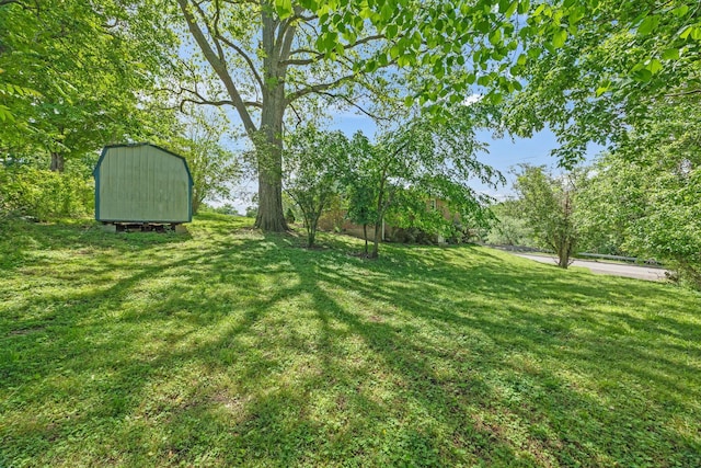 103 Walnut Dr, Carthage, TN 37030 - view of green lawn featuring a storage shed and an outbuilding