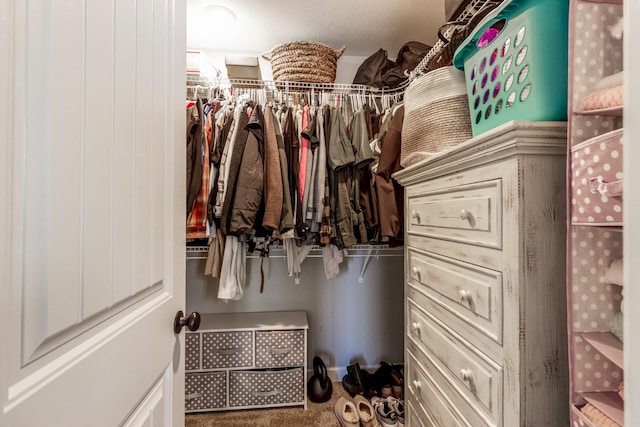 7919 Natahna Ct, Murfreesboro, TN 37127 - spacious closet with carpet