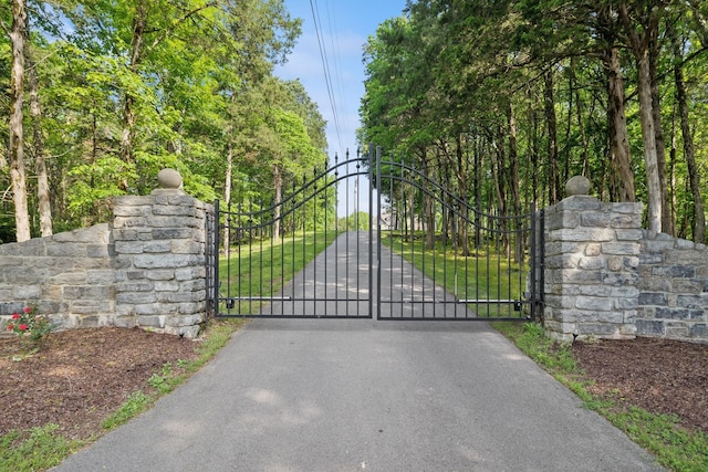 150 Valley Vista Dr, Carthage, TN 37030 - view of gate