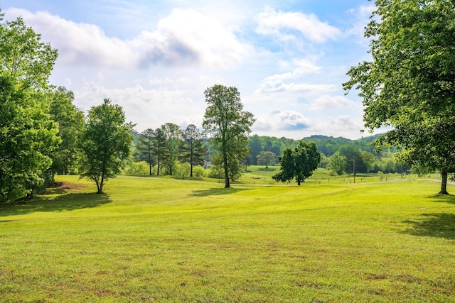 280 Bethel Ln, Ringgold, GA 30736 - photo 61