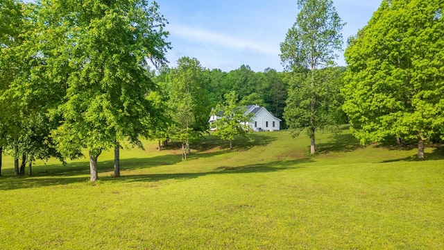 280 Bethel Ln, Ringgold, GA 30736 - photo 55