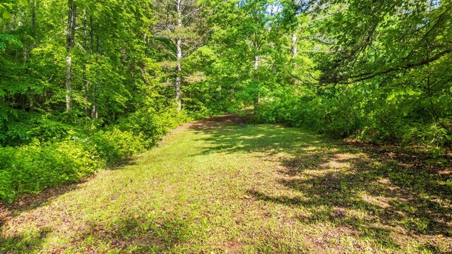 280 Bethel Ln, Ringgold, GA 30736 - photo 62