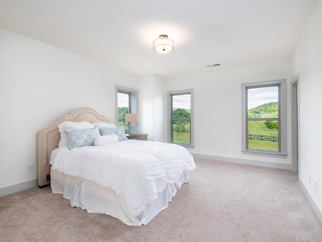 5000 Gates Mill Rdg, Thompsons Station, TN 37179 - photo 49