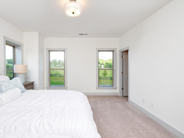 5000 Gates Mill Rdg, Thompsons Station, TN 37179 - photo 50